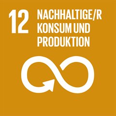 Nachhaltiges Entwicklungsziel 12